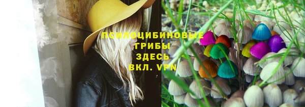 кокаин премиум Алексеевка