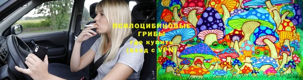 дмт Алзамай