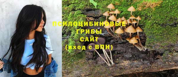кокаин премиум Алексеевка
