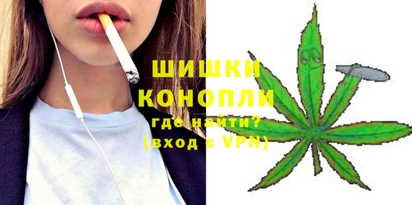 дмт Алзамай