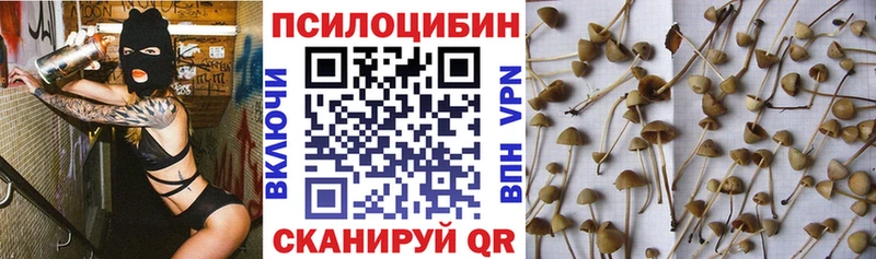 Псилоцибиновые грибы прущие грибы  Невьянск 